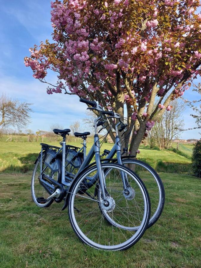 Bed and Breakfast Bed & Bike Op Texel Den Burg Exterior foto